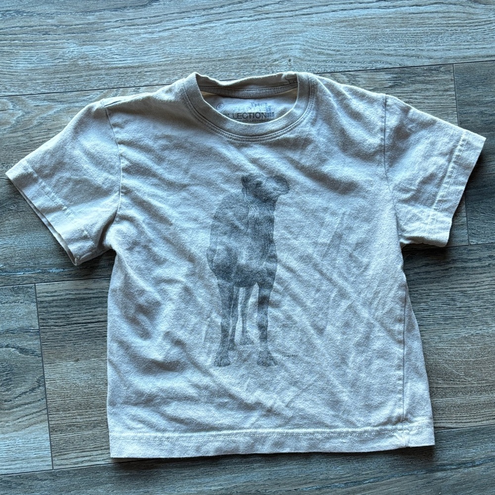 Kids Camel Graphic T-Shirt